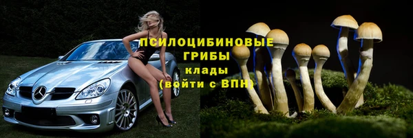 тгк Алексеевка
