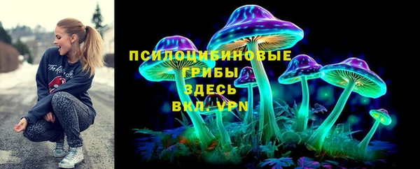 ПСИЛОЦИБИНОВЫЕ ГРИБЫ Алексин