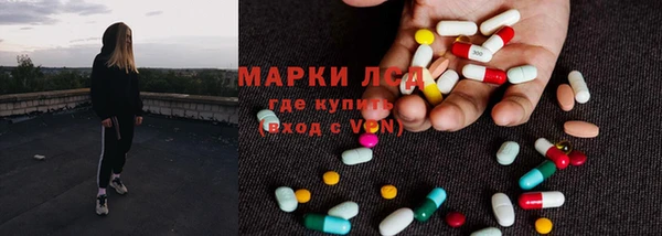 ПСИЛОЦИБИНОВЫЕ ГРИБЫ Алексин