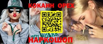 прущие крисы Кингисепп