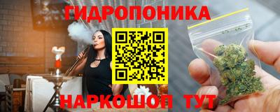 прущие крисы Кингисепп