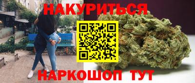 прущие крисы Кингисепп