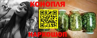 прущие крисы Кингисепп
