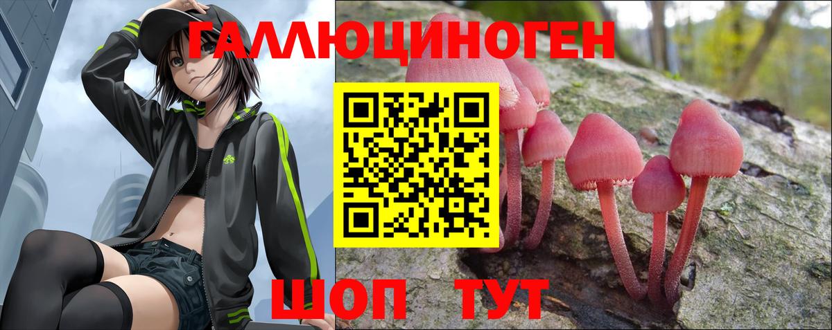 Красноярск  Псилоцибиновые грибы MAGIC MUSHROOMS  Вход с VPN 